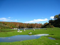 総括 2013 秋 北海道