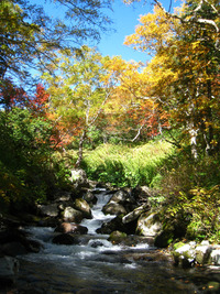 北海道９月ツー紅葉編