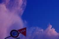 夕焼け空と白トリュフ塩 2010/09/01 21:31:43