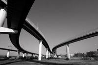 curve 2011/01/20 08:36:49
