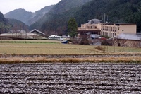 寒波再来、土曜日。