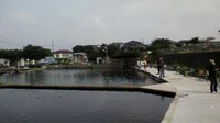 柿田川でボコボコ…(T△T) 2010/08/02 15:24:16