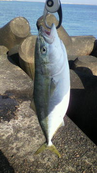 筋肉酷使 2010/12/07 12:25:46
