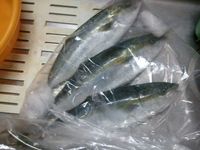 おくれながら 2012/01/04 16:03:57