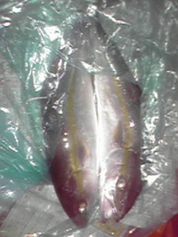 水没(ToT) 2011/05/23 11:07:06