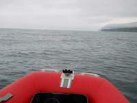 日本海　ヒラメ釣り 2012/06/02 09:19:27