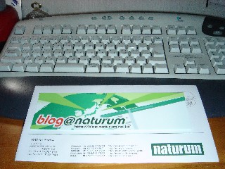 どこへ貼る？