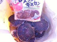 今日の夕飯 2011/11/12 15:37:05