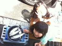 四尾ゲット 2012/05/04 12:04:34