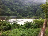 キャンプ場の朝 2012/06/23 07:26:21