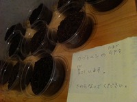 今年も… 2012/08/14 21:59:15