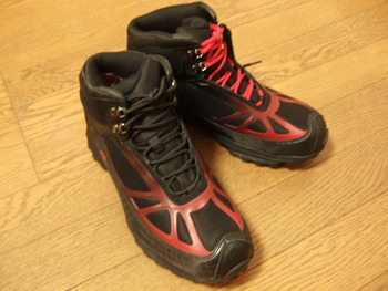 買うてもうた・・・
