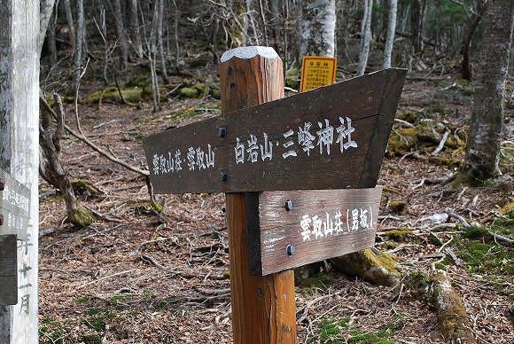 三峰神社～雲取山～鴨沢