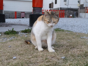 長崎鼻へ