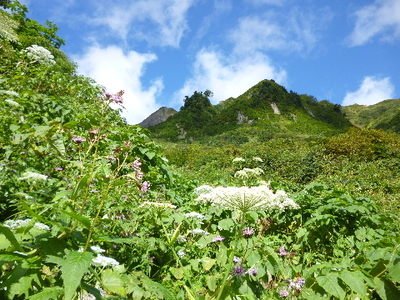 雨飾山