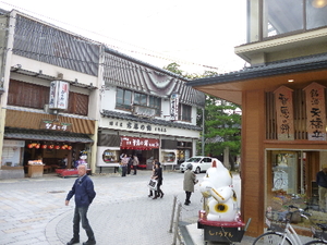 山陰海岸を巡る旅　～天橋立～