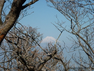 天城山