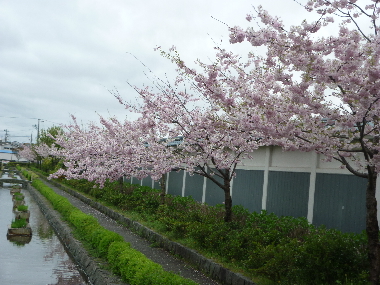 新発田城址公園