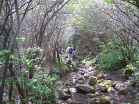 初めての登山（久住大船山）