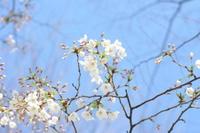 近所の公園にて