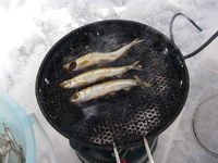 楽しく釣ろうぜ！