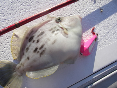 たっぷり海を満喫!