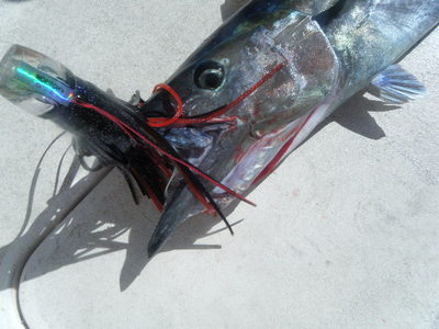 海の日は海釣り