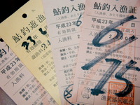 年券か日釣り券か