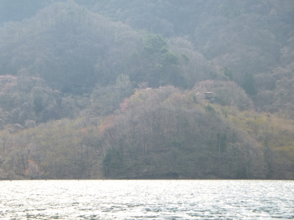 春陽の草木湖