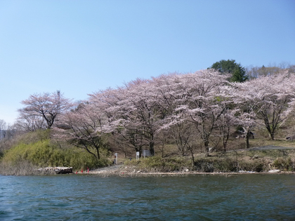 春陽の草木湖