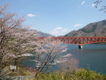 春陽の草木湖