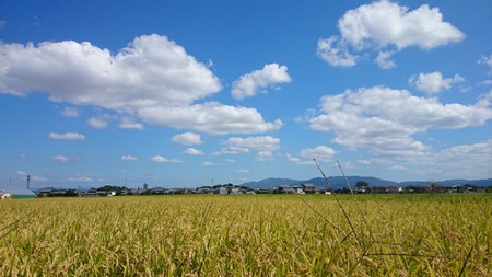 秋の空　収穫祭