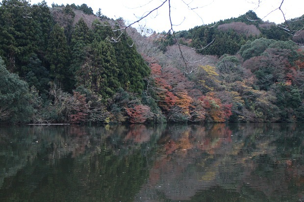 紅葉の見頃には少し過ぎた亀山湖散策　in稲ヶ崎キャンプ場