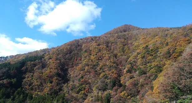 冬キャン始動！積載大丈夫？ in 花の森オートキャンピア