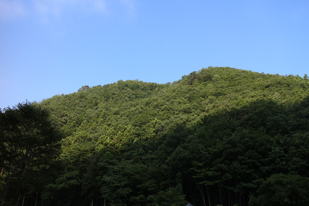 渓流つりキャン△ ナラ入沢渓流釣りキャンプ場