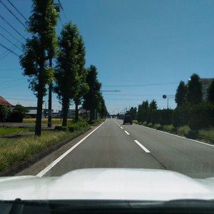 ﾌﾞﾙｰｽはまだまだ続く...