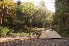 秋の道志でのんびりキャンプ