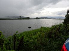 いつもの内湖、天候不安定＆濁りでボーズだった
