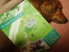 フライの雑誌116号のお買い得感