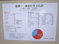 外来種を駆除する側に見る線引きの混乱