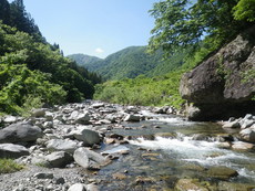 根尾川の上流へ行ってみた