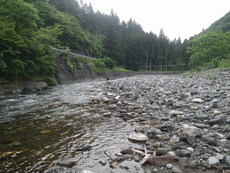 根尾川上流でイブニング