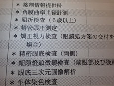 視界の不具合で検査