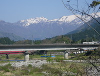 根尾川の上流に行ってみた