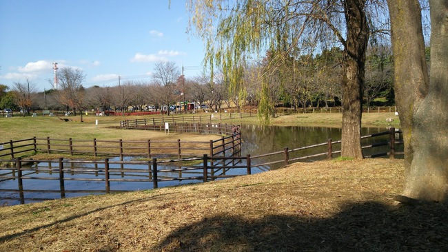 大泉中央公園
