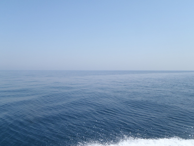 5月31日ギリギリ不味い？いえいえ完全にアウトでしょ？＠KRUISE