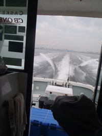 11月7日予報的中！＠KRUISE 2015/12/04 12:00:00
