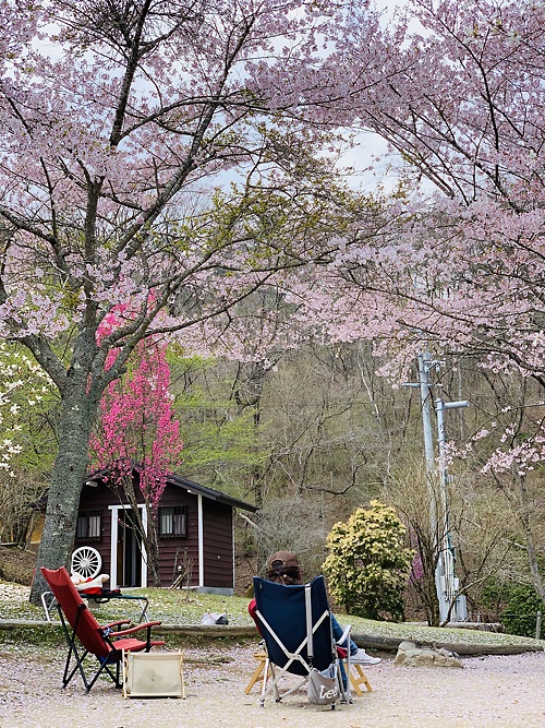 素敵なキャンプ日和　IN 自然の森