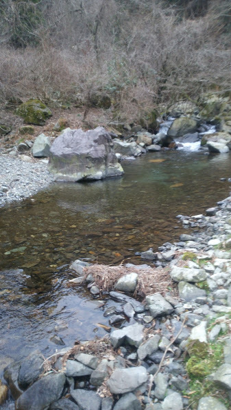 Natural Fishing Reporter 員弁川水系t川 三重県