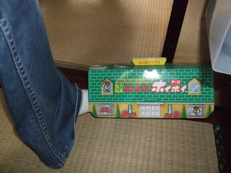 お母さん　ネズミホイホイに捕まる。